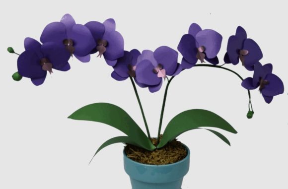 3D Paper Orchid: A 3D SVG Flowers Review